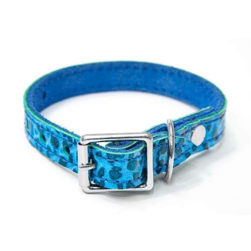 tropical manresa tribu de mascotas blog (13)